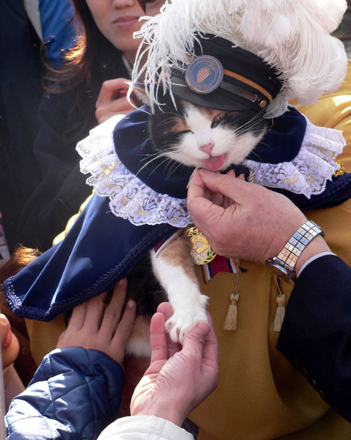 tama cat chief station (1)