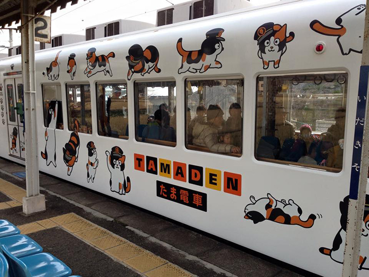 tama cat chief station (1)