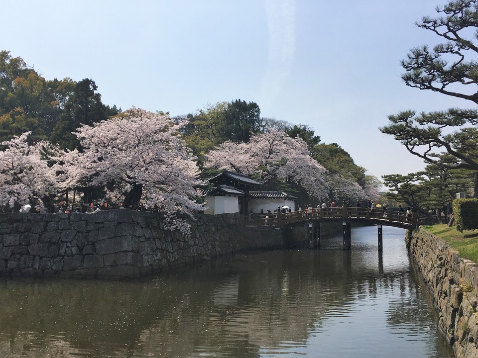 wakayama castle,wakayama travel blog,wakayama travel guide (9)