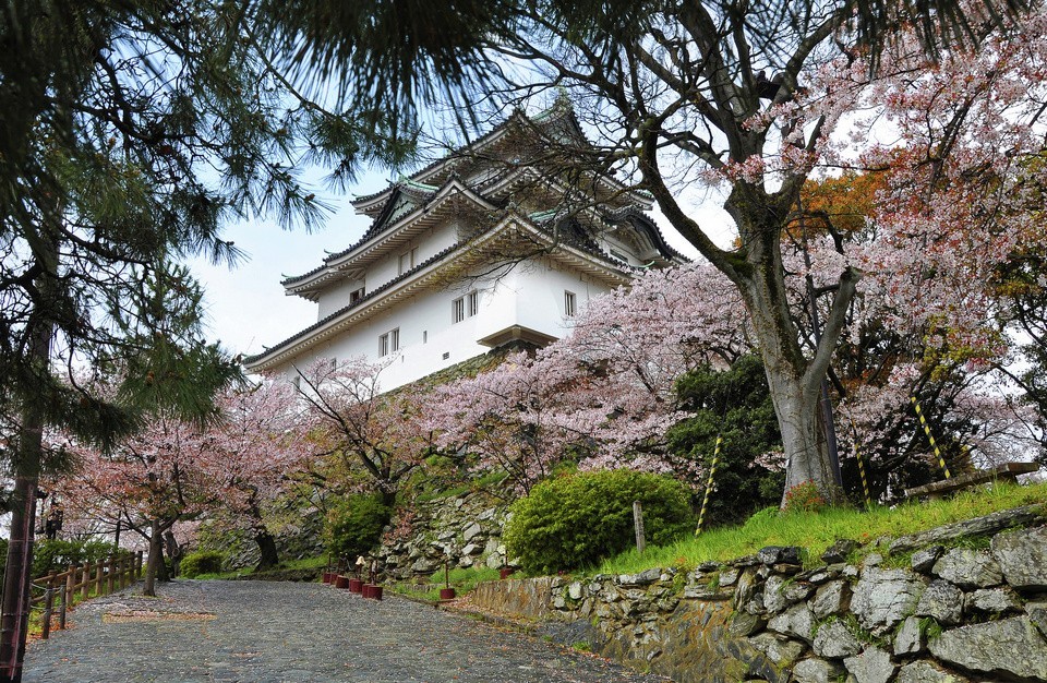 wakayama castle,wakayama travel blog,wakayama travel guide (9)
