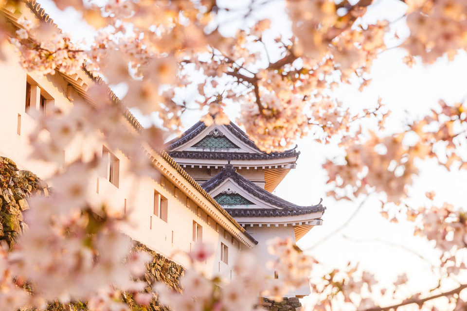 wakayama castle,wakayama travel blog,wakayama travel guide (9)