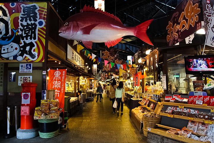 wakayama-city marine (1)