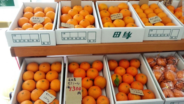 wakayama-fruits_750_422