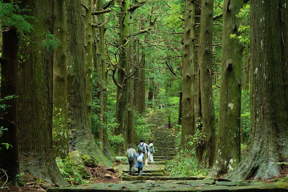 wakayama travel blog,wakayama travel guide,wakayama blog (4)