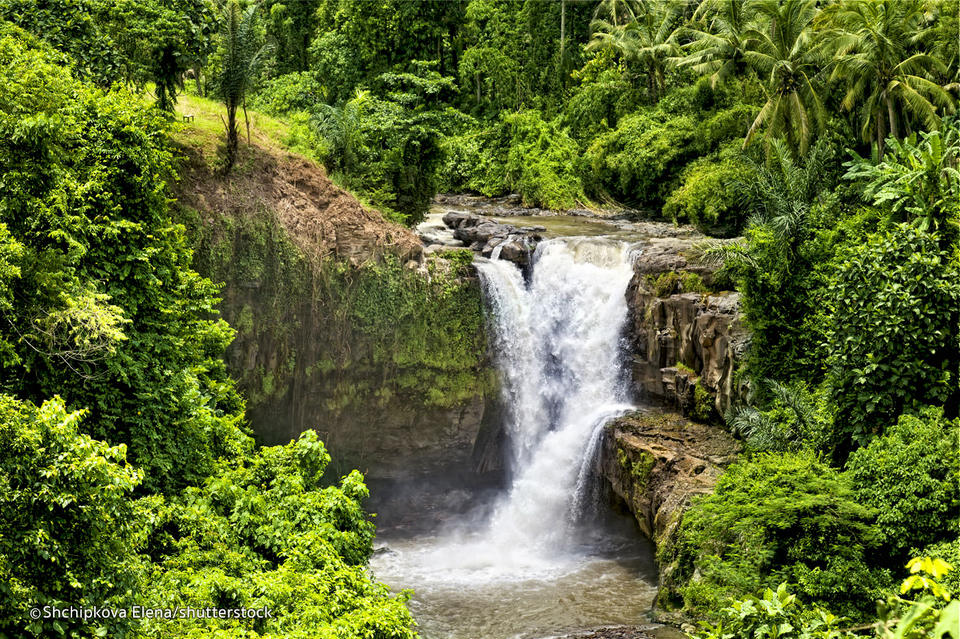 Tegenungan Waterfall (Ubud),best waterfalls in bali,most beautiful waterfalls in bali,bali best waterfalls,best waterfalls to visit in bali (7)