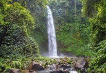 Top waterfalls in Bali — 10 most beautiful & best waterfalls to visit in Bali Island best bali waterfalls3