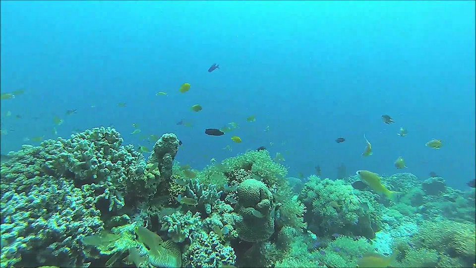 Hilutungan Island,3 days in cebu,cebu itinerary 3 days,cebu itinerary 3 days 2 nights,cebu trip itinerary,what to do in cebu for 3 days (1)