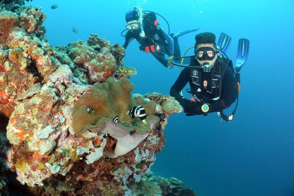 Hilutungan Island,3 days in cebu,cebu itinerary 3 days,cebu itinerary 3 days 2 nights,cebu trip itinerary,what to do in cebu for 3 days (1)