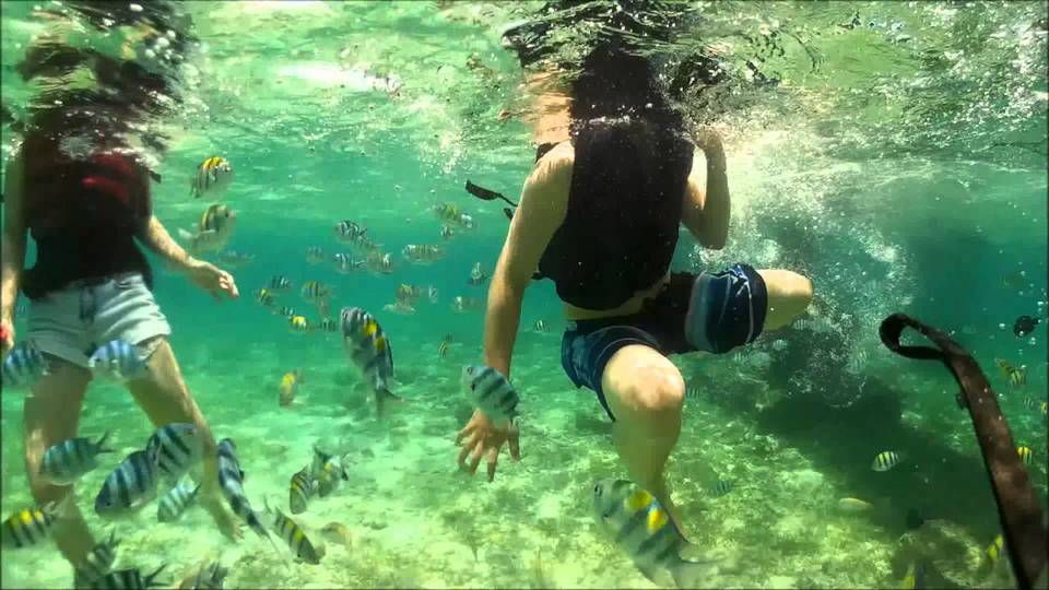 Nalusuan Island,3 days in cebu,cebu itinerary 3 days,cebu itinerary 3 days 2 nights,cebu trip itinerary,what to do in cebu for 3 days (1)