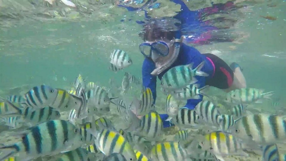 Nalusuan Island,3 days in cebu,cebu itinerary 3 days,cebu itinerary 3 days 2 nights,cebu trip itinerary,what to do in cebu for 3 days (1)