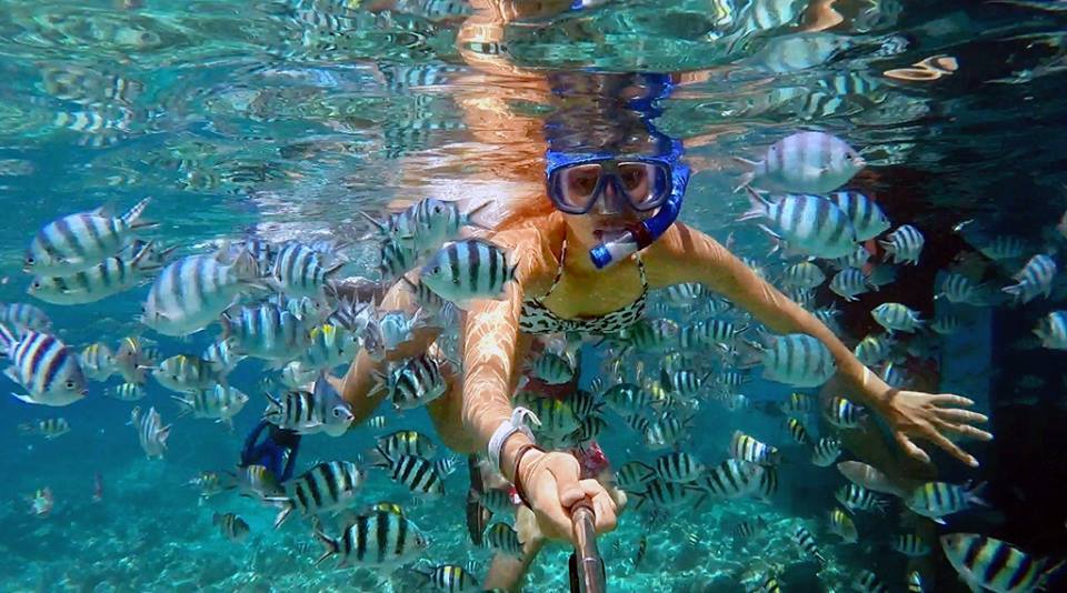 Nalusuan Island,3 days in cebu,cebu itinerary 3 days,cebu itinerary 3 days 2 nights,cebu trip itinerary,what to do in cebu for 3 days (1)