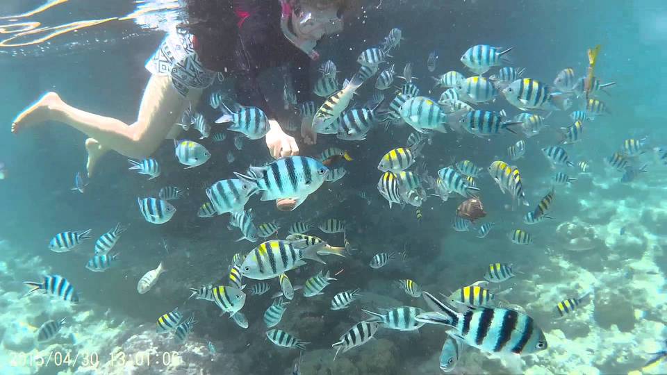 cebu island hopping,3 days in cebu,cebu itinerary 3 days,cebu itinerary 3 days 2 nights,cebu trip itinerary,what to do in cebu for 3 days (1)