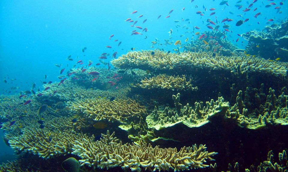 cebu island hopping,3 days in cebu,cebu itinerary 3 days,cebu itinerary 3 days 2 nights,cebu trip itinerary,what to do in cebu for 3 days (1)