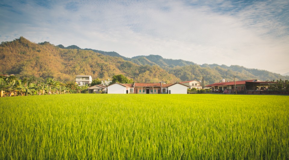 Visiting Meinong Folk Village,kaohsiung,qishan old street (1)