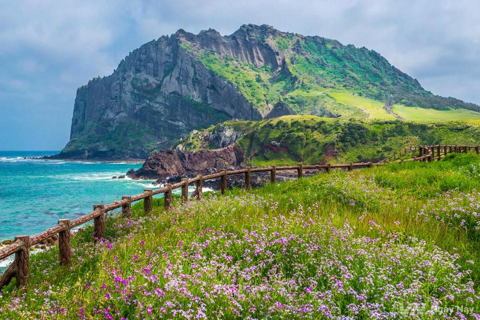 jeju day trip,jeju island trip blog,jeju itinerary blog,jeju one day trip,jeju trip itinerary,one day in jeju