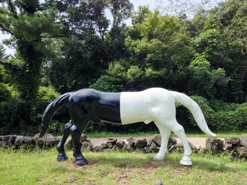 Jeoji Art Village (Jeoji ArtistVille) and the Jeju Museum of Contemporary Art,v (20)