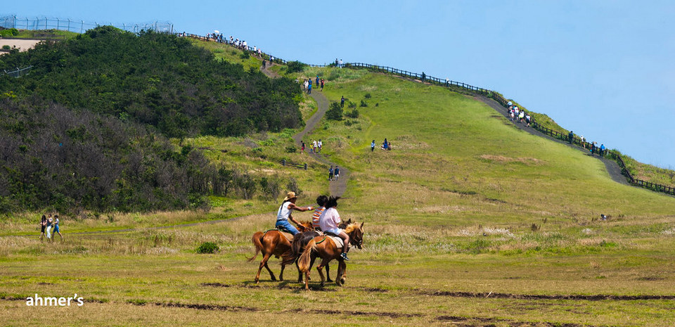 Horse ride in Udo Island