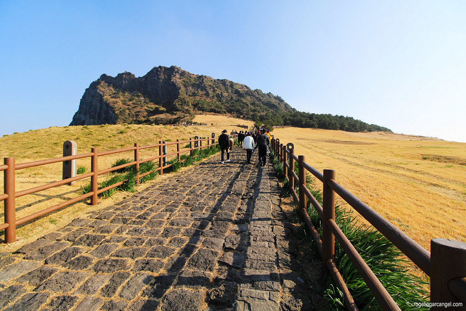 Seongsan Ilchulbong peak,4 days in jeju,jeju 4 days 3 nights itinerary,jeju 4d3n itinerary,jeju island itinerary,jeju itinerary 4 days (2)