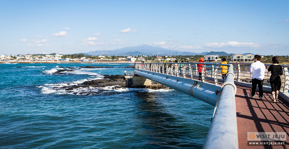 Sinchang Windmill Coastal Road,4 days in jeju,jeju 4 days 3 nights itinerary,jeju 4d3n itinerary,jeju island itinerary,jeju itinerary 4 days (1)