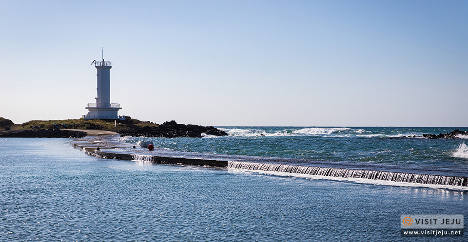 Sinchang Windmill Coastal Road,4 days in jeju,jeju 4 days 3 nights itinerary,jeju 4d3n itinerary,jeju island itinerary,jeju itinerary 4 days (3)