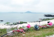Top things to do in Jeju island — 15+ unique, must-do & best things to do in Jeju Island Udo Island, 4 days in jeju,jeju 4 days 3 nights itinerary,jeju 4d3n itinerary,jeju island itinerary,jeju itinerary 4 days (1)