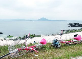 Udo Island, 4 days in jeju,jeju 4 days 3 nights itinerary,jeju 4d3n itinerary,jeju island itinerary,jeju itinerary 4 days (1)