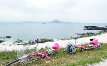 Top things to do in Jeju island — 15+ unique, must-do & best things to do in Jeju Island Udo Island, 4 days in jeju,jeju 4 days 3 nights itinerary,jeju 4d3n itinerary,jeju island itinerary,jeju itinerary 4 days (1)