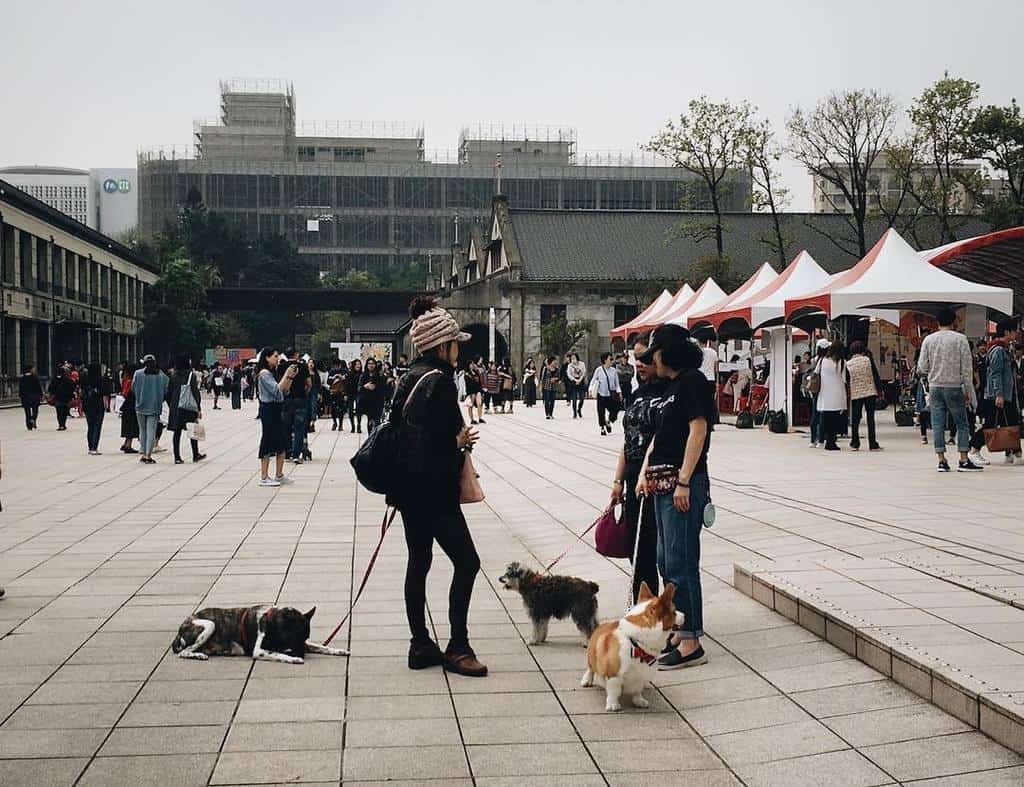 Songshan Creative Park,best places to go in taipei,where to go in taipei,best places to visit in taipei,top places to visit in taipei (1)