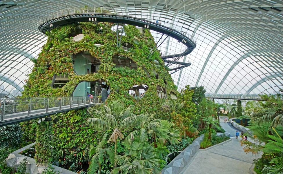 1gardens by the bay blog,gardens by the bay singapore,how to visit gardens by the bay,gardens by the bay guide