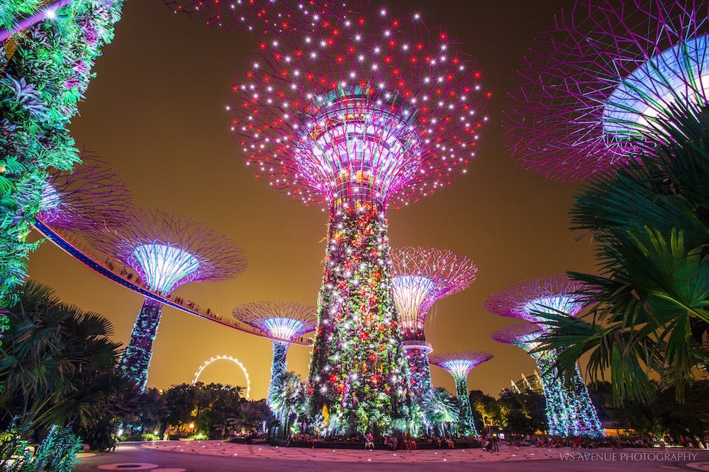 | singapore nightlife guide