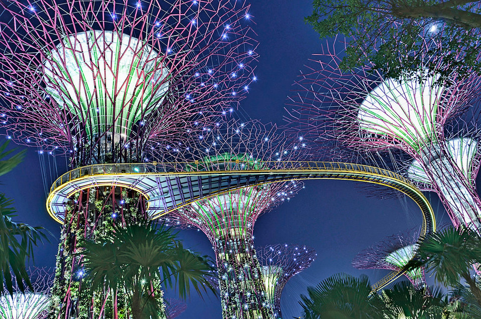 Cluster of Supertrees with OCBC Skyway
