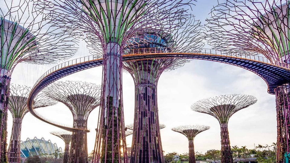 OCBC Skyway,,gardens by the bay blog,gardens by the bay singapore,how to visit gardens by the bay,gardens by the bay guide singapore 11