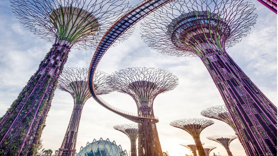 OCBC Skyway,,gardens by the bay blog,gardens by the bay singapore,how to visit gardens by the bay,gardens by the bay guide singapore 11