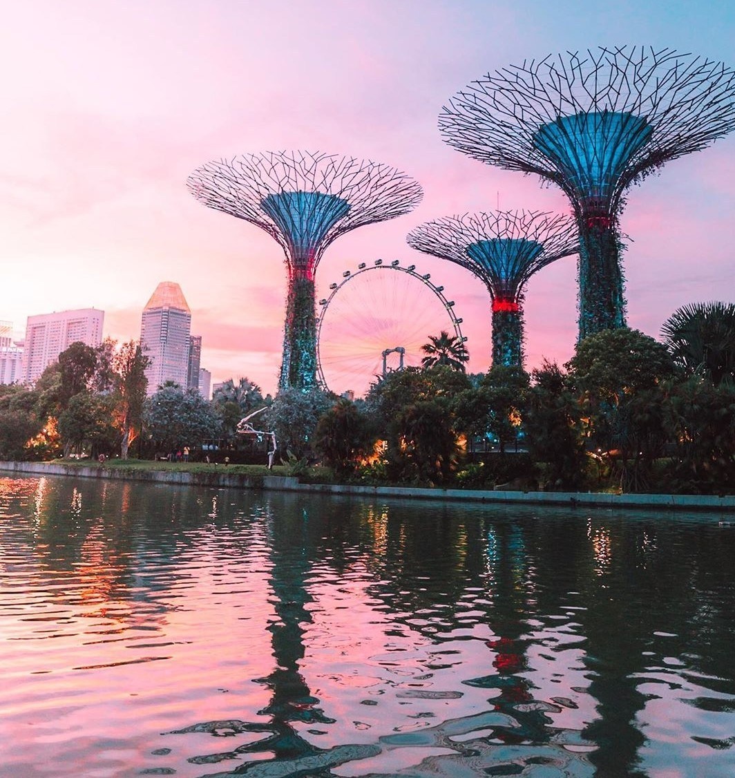 OCBC Skyway,,gardens by the bay blog,gardens by the bay singapore,how to visit gardens by the bay,gardens by the bay guide singapore (1)