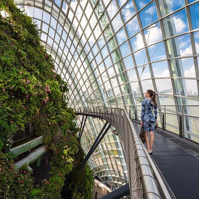 The Cloud Forest,gardens by the bay blog,gardens by the bay singapore,how to visit gardens by the bay,gardens by the bay guide (1)