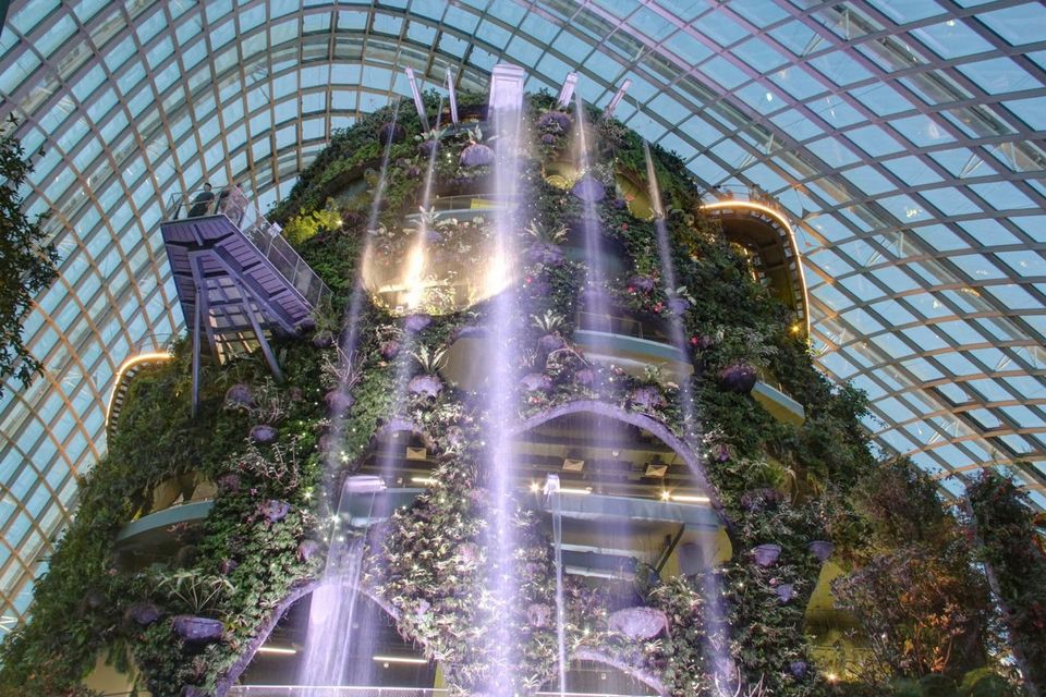 The Cloud Forest,gardens by the bay blog,gardens by the bay singapore,how to visit gardens by the bay,gardens by the bay guide (1)