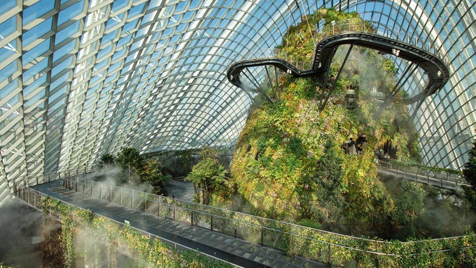The Cloud Forest,gardens by the bay blog,gardens by the bay singapore,how to visit gardens by the bay,gardens by the bay guide (1)