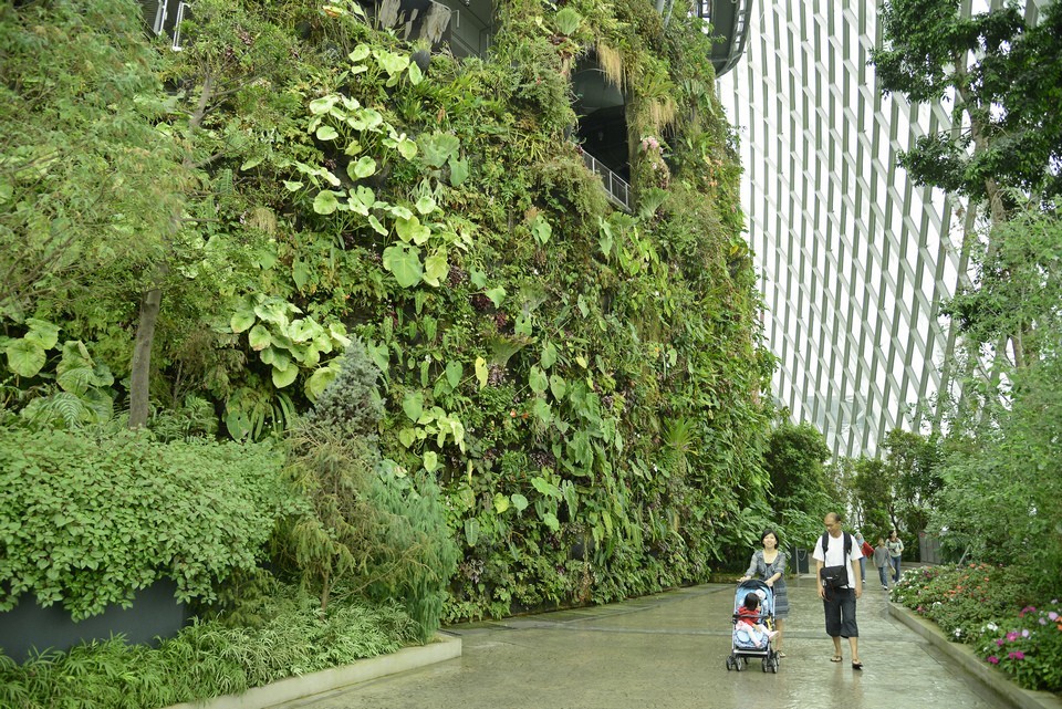 The Cloud Forest,gardens by the bay blog,gardens by the bay singapore,how to visit gardens by the bay,gardens by the bay guide (1)