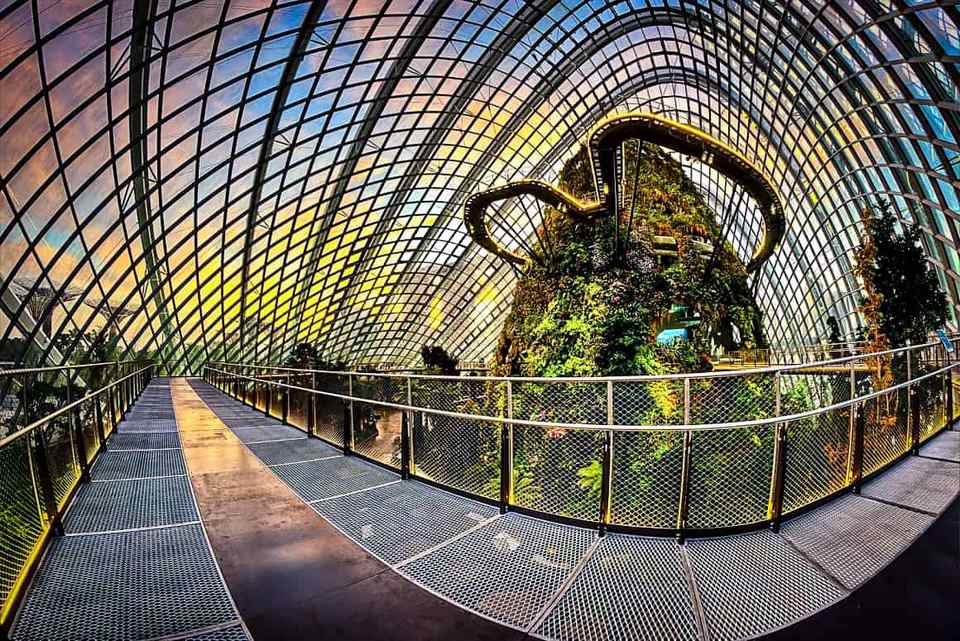 The Cloud Forest,gardens by the bay blog,gardens by the bay singapore,how to visit gardens by the bay,gardens by the bay guide (1)