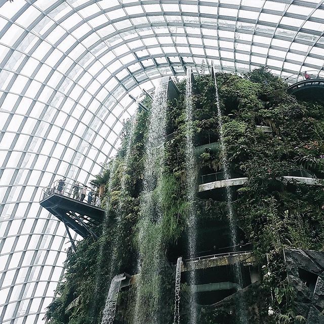 The time of fog spraying at Cloud Forest