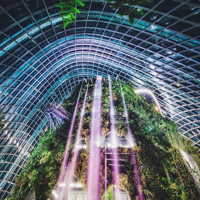 The Cloud Forest,gardens by the bay blog,gardens by the bay singapore,how to visit gardens by the bay,gardens by the bay guide (1)