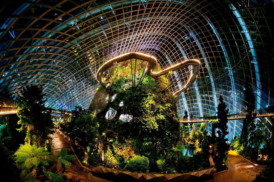 The Cloud Forest,gardens by the bay blog,gardens by the bay singapore,how to visit gardens by the bay,gardens by the bay guide (1)