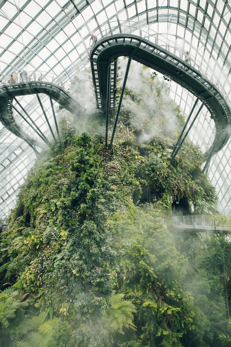 The Cloud Forest,gardens by the bay blog,gardens by the bay singapore,how to visit gardens by the bay,gardens by the bay guide (1)