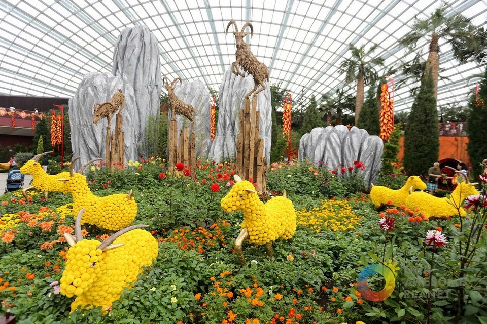 The Flower Dome,gardens by the bay blog,gardens by the bay singapore,how to visit gardens by the bay,gardens by the bay guide (4)