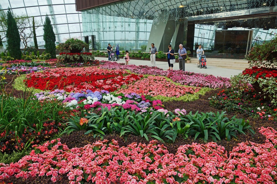 The Flower Dome,gardens by the bay blog,gardens by the bay singapore,how to visit gardens by the bay,gardens by the bay guide (4)