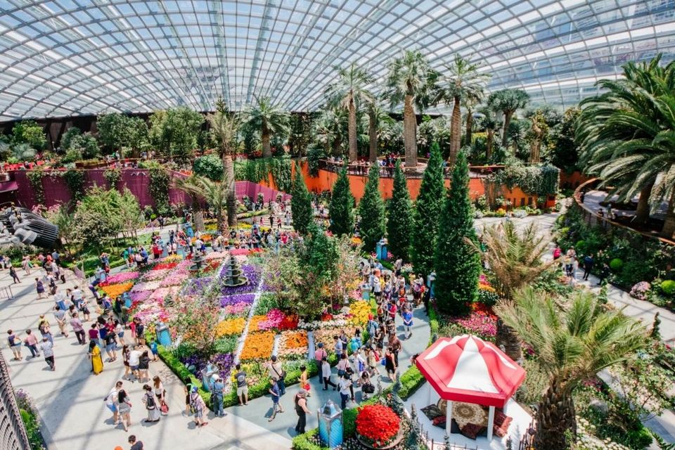 The Flower Dome,gardens by the bay blog,gardens by the bay singapore,how to visit gardens by the bay,gardens by the bay guide (4)