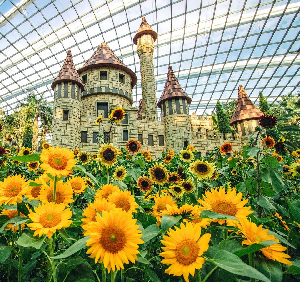 The Flower Dome,gardens by the bay blog,gardens by the bay singapore,how to visit gardens by the bay,gardens by the bay guide (4)