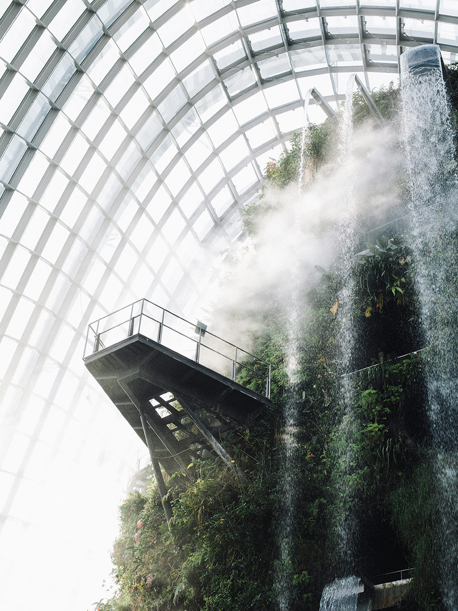 fog spraying