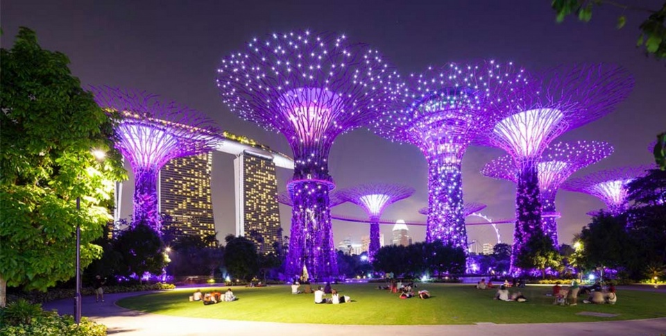 gardens by the bay blog,gardens by the bay singapore (1)