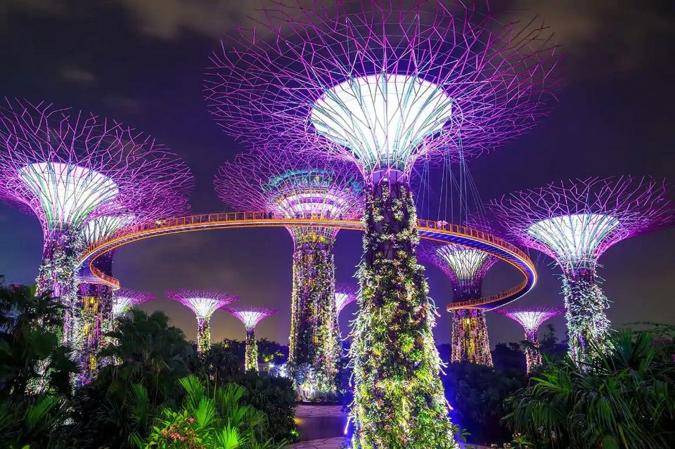 gardens by the bay blog,gardens by the bay singapore (1)